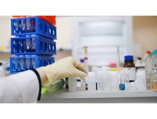 AstraZeneca, Daiichi Sankyo's Enhertu Shows Superior PFS in First-Line HER2-Mutant NSCLC
