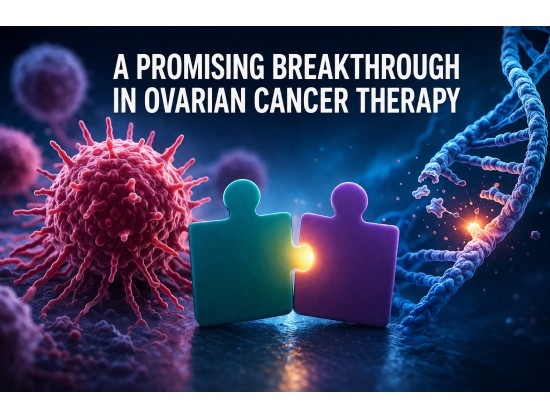 BioLineRx and Hemispherian Report Promising Preclinical Results for GLIX1-PARP Inhibitor Combination in Ovarian Cancer