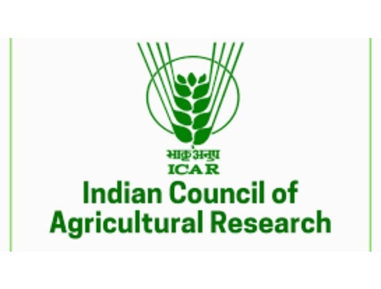 ICAR Develops India's First Indigenous Vaccine Against African Swine Fever